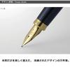 Platinum BISO Fountain Pen PLATINUM Bisou Medium PTL-15000 (Nebula Black, Nib)