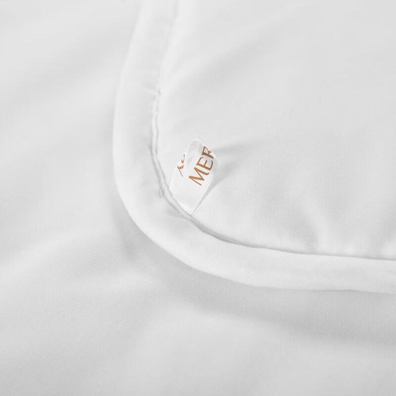 Mercury Home Textiles Wells Antibacterial Australian Wool Quilt