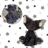 Süßes schwarzes Devon Rex Plüschtier Lebensechte Kuscheltiere Katze Flauschige weiche Puppe