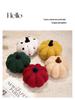Plush Pumpkin Throw Pillow for Living Room & Indoor Decor