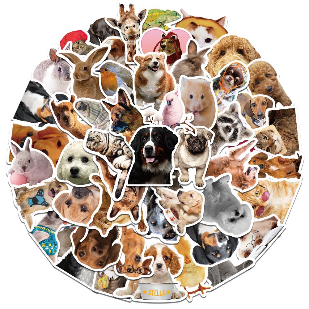 Adorable Kitten & Puppy Stickers: Creative, Waterproof Decals for Notebooks, Bottles, Phones, Skateboards, and Journals.