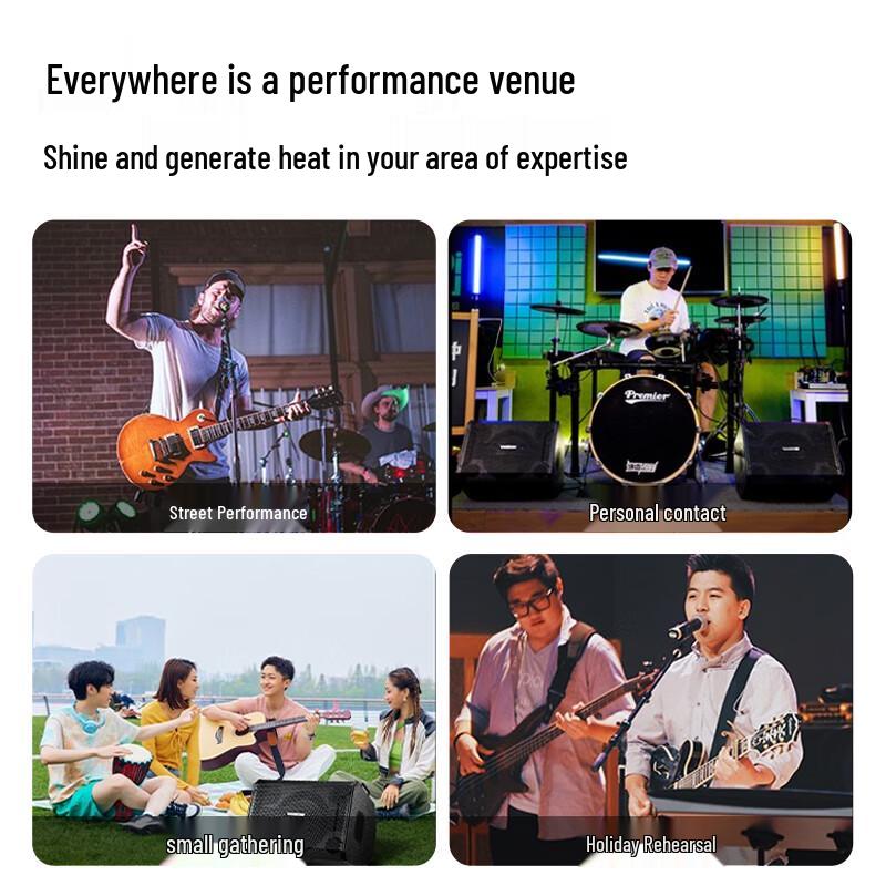 TAKSTAR OPS-25 PRO Portable Singing Speaker (CN version)