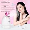 K·SKIN KD232 Nano-Mist Hot & Cold Facial Steamer