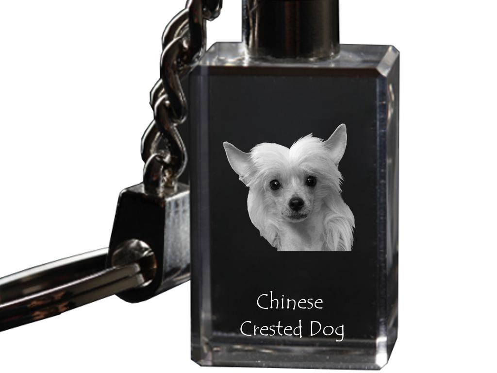 Chinesischer Schopfhund, Puff - Kristall-Schlüsselring mit Hundefoto, beleuchteter Schlüsselanhänger, einzigartiges Geschenk der Marke Art-Dog
