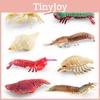 Ocean Animal Pvc Pipi Shrimp And Crab Figures Set With Static Marine Models For Marine Enthusiasts