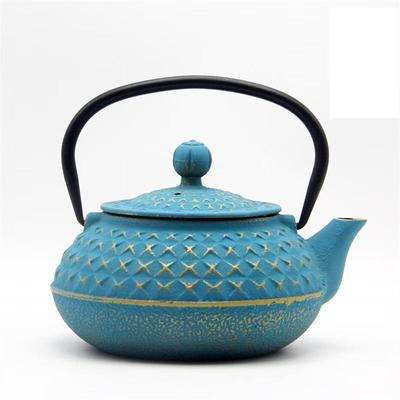 Enamel Coated Cast Iron Tea Kettle