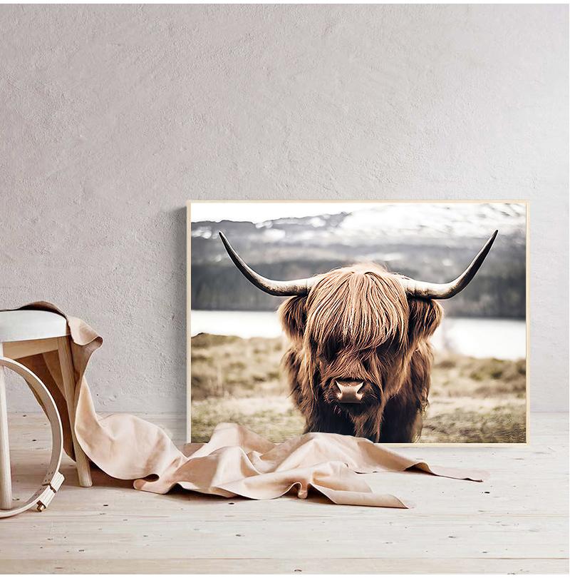 Highland Cow Wild Animals Canvas Painting Cattle Posters and Print Nordic Scandinavian Cuadros Wall Art Picture for Living Room No Frame