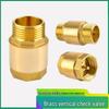 Xingqishi Brass Vertical Spring Check Valve