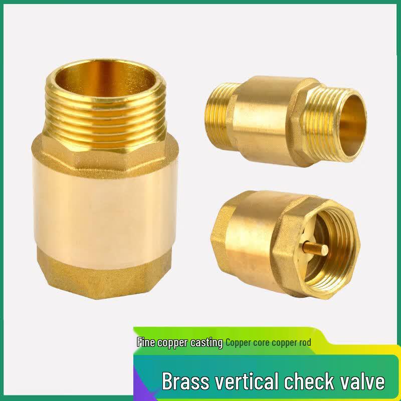 Xingqishi Brass Vertical Spring Check Valve
