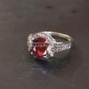 Garnet Oval Cut Gemstone With 925 Sterling Silver Ring For Men's #B90 JL375671418612