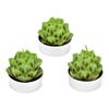 Artichoke Wax Tealight Candles Set of 6