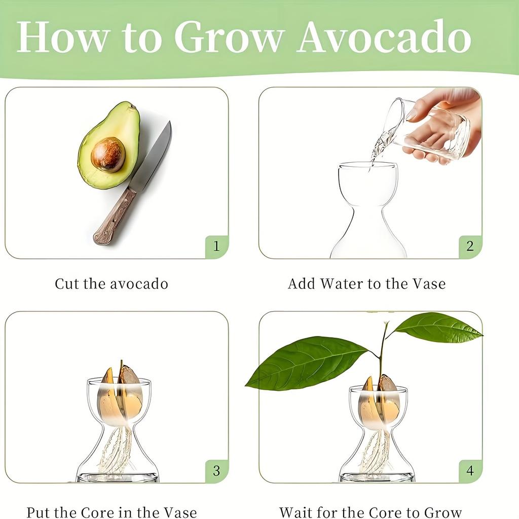 Kit per la Coltivazione dell'Avocado - Vaso Germinatore in Vetro per Amanti del Giardinaggio, Unico Fioriera Idroponica Regalo