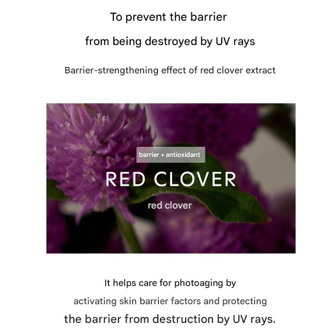 shaishaishai Enjoy The Sun Moisture Sun Cream SPF50+ PA++++ 50ml (3 Options)