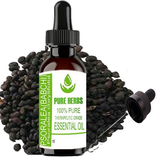 Pure Herbs Psoralea (Babchi) (Psoralea Corylifolia) Pure & Natural Therapeutic Grade Essential Oil Plastic with Dropper
