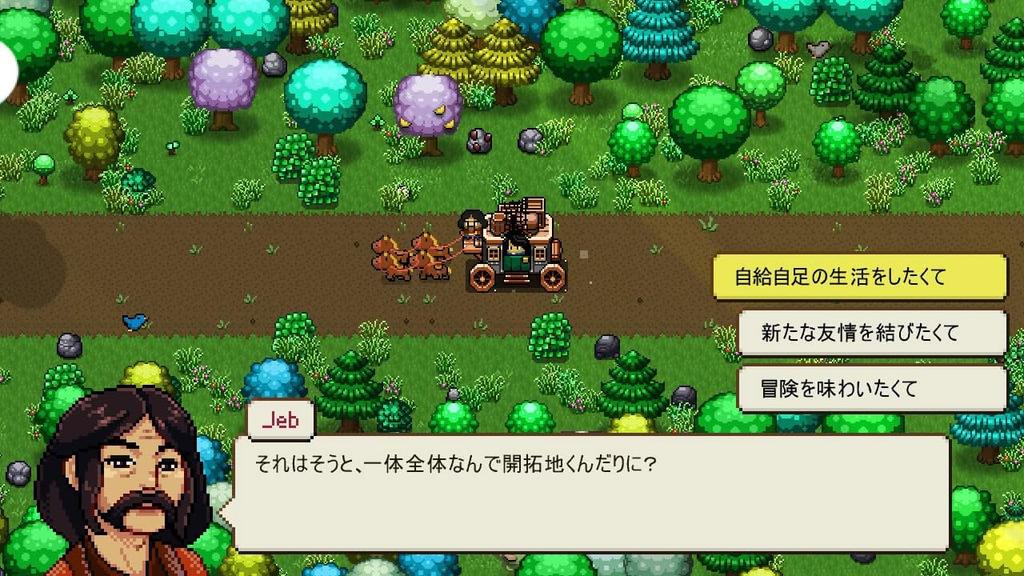 Cattle Country -Switch