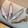 Fashion Silver Pointed Toe Thick Heel Women's Pumps Spring Autumn New Shallow Mouth Temperament Retro Commuter Low Heel Single Shoes