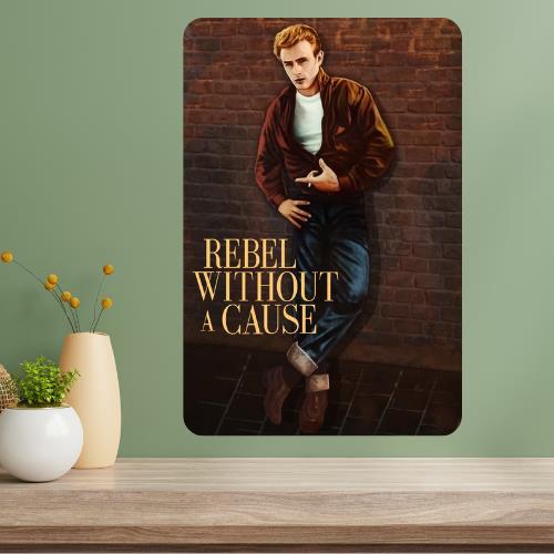 Rebel Without a Cause Classic Movie Metal Poster Sign 20x30cm(7.8x11.8inch)