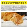 Royal Canin Digestive Care Food for Cats Aged 12 Months and Older Who Want To Maintain Healthy Bowels and Adult Cat FCN Maintains Urinary Digestive