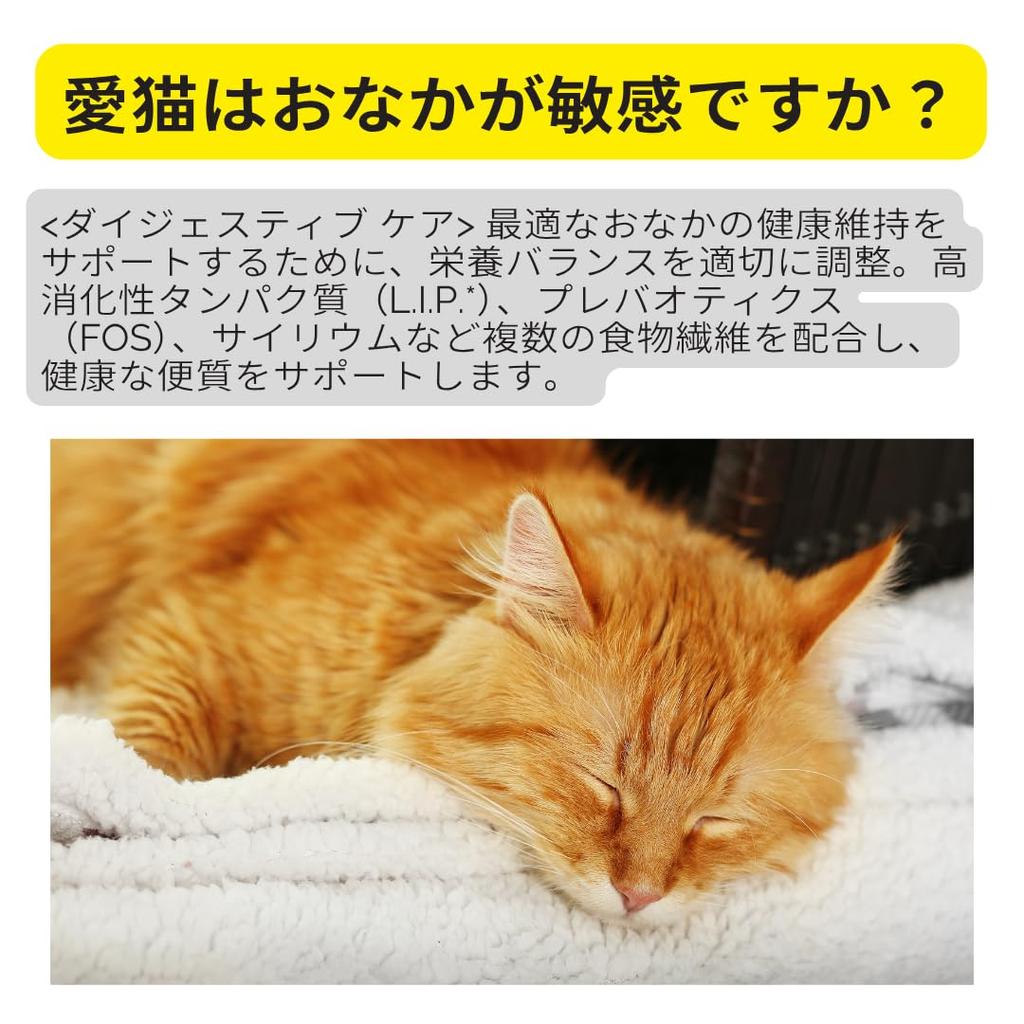 Royal Canin Digestive Care Food for Cats Aged 12 Months and Older Who Want To Maintain Healthy Bowels and Adult Cat FCN Maintains Urinary Digestive