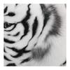 HANSA White Tiger 145cm Acrylic No.5920