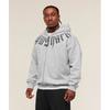 Gymshark Fade Graphic Zip Up Hoodie Light Grey Core Marl A3c3k Gbcn