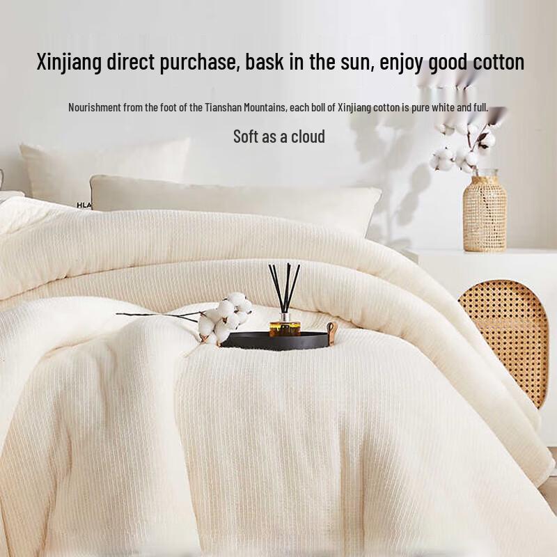 

HLA Home 100% Xinjiang Cotton Winter Quilt