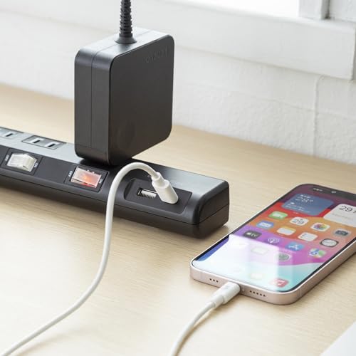 SANWA SUPPLY Power-Saving Strip (2P, 4 Outlets, 2m, Black) TAP-B107UC-2BK