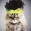 Cute Funny Cat Hat Elastic Punk Style Pet Hat Adjustable For Cosplay Costume Pet Accessories Hairless Cats