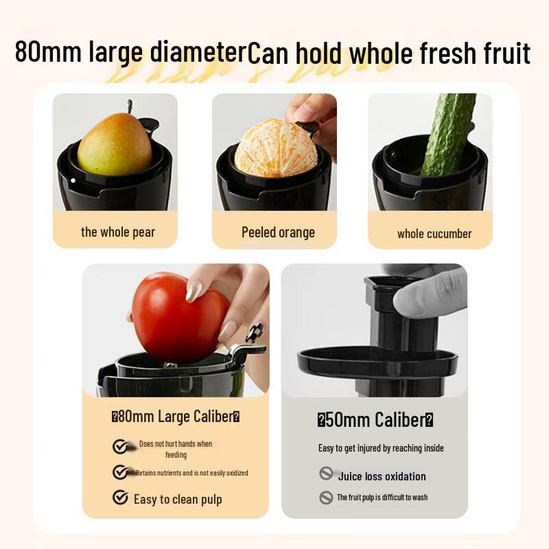 Bear Cold Press Juicer CN plug (adapter included)