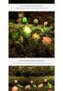 Waterproof LED Solar Lotus Garden Lamp - Outdoor Decorative Landscape Light with Ground Stake