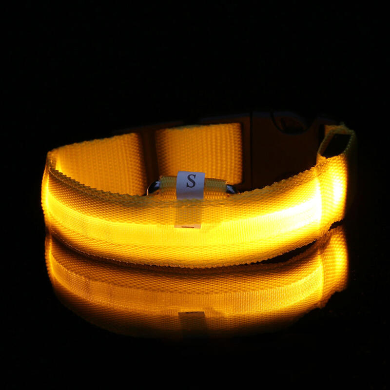 LED Dog Leash (S/Yellow)