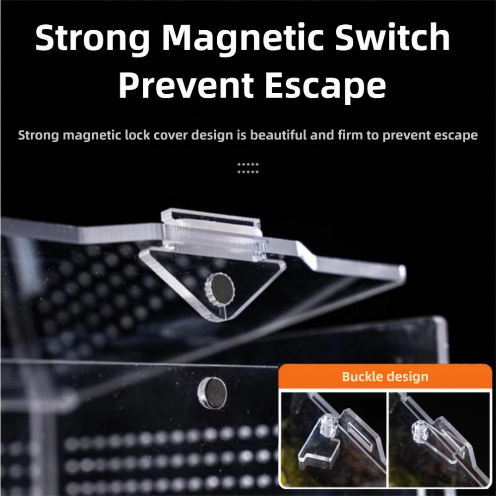 Anti-Escape Reptile Habitat Clear Spider Feeding Case Durable Lizard Breeding Box  for Chameleon