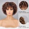 XINRAN Afro Women Fashion Short Kinky Curly Wig with Bangs Synthetic Fiber Brown Black Blonde Color Short Curly Wig Daily Wear
