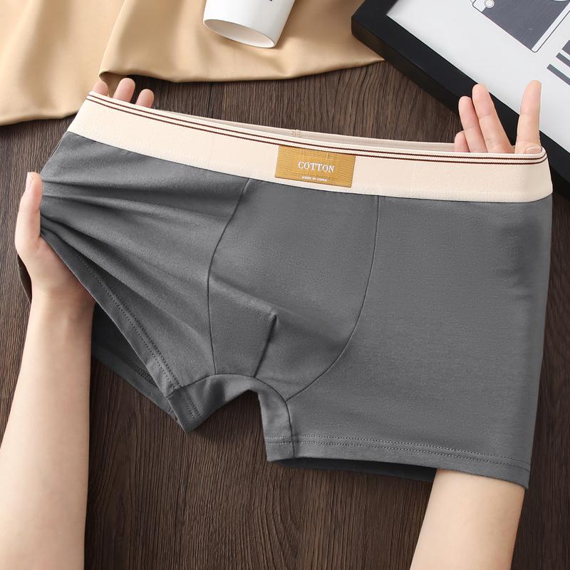 Men's Antibacterial Cotton Boxer Briefs - Breathable Summer Underwear for Teens and Boys