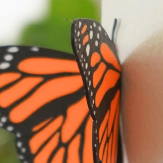 Yousheng 3D Printed Butterfly Refrigerator Magnet DIY Home Kitchen Locker Fridge Monarch Tiger Swallowtail Blue Butterfly Magnetic Decoration Ornament