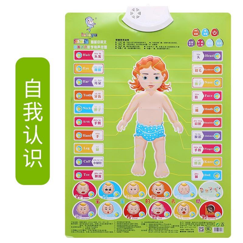 Kids Early Education Interactive Audible Wall Chart Learning Teaching Toy