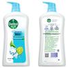 Dettol Peppermint Ice Cool Shower Gel