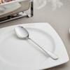 Stainless Steel Serving Spoon Professional Mirror Polished Kitchen Utensil for Caterers, Family