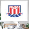 Stoke City F.C. Tapestry Wall Hanging Room Background Cloth Home Decor Beach Mat Yoga Mat Sofa Bed Sheet