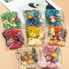 1 Pack Dried Flowers for Candles Decoration for Candles Accessories Natural Plant Soap Making Supplies Handmade DIY Crafts