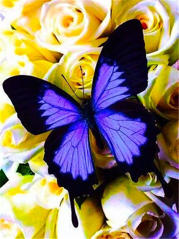 5D Diamond Painting Butterfly Cross Stitch Kit Full Drill Diamond Embroidery Flower Mosaic Daisy Rhinestone Handmade Gift