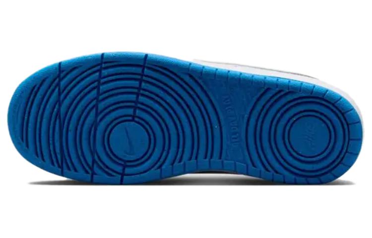 Nike Court Borough Low Recraft 'Platinum Cool Grey Photo Blue' GS DV5456-019
