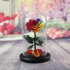 Eternal Flower Glass Cover Little Prince Rose Valentine's Day Gift Premium Finished Gift Box