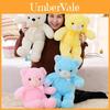 Adorable Teddy Bear Plush Toy With Led Colorful Lights Small Size Long Plush Flashing Function