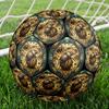 Beetle Circle Art Round Football Size 5 Adult Ball Suitable for Training Matches and Outdoor Team.