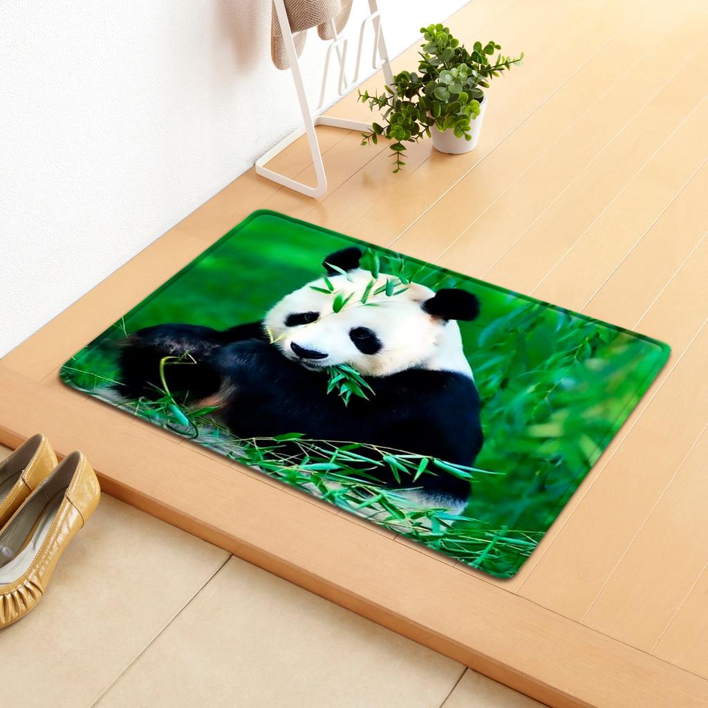 Creative Home Door Mat Water Absorbent Non-Slip Mat Living Room Kitchen Floor Mat Bedroom Carpet