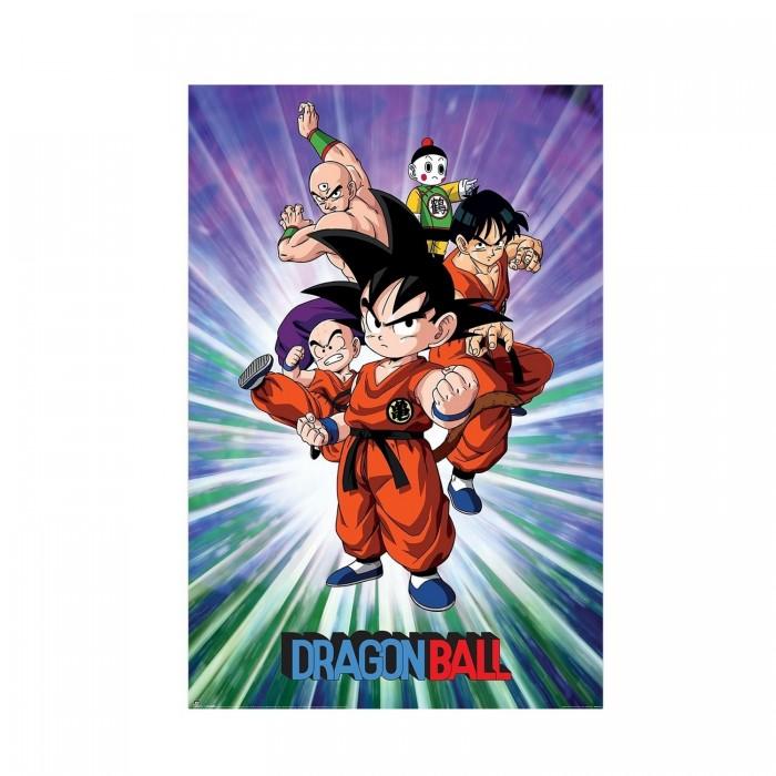 Dragon Ball Group Printed Poster