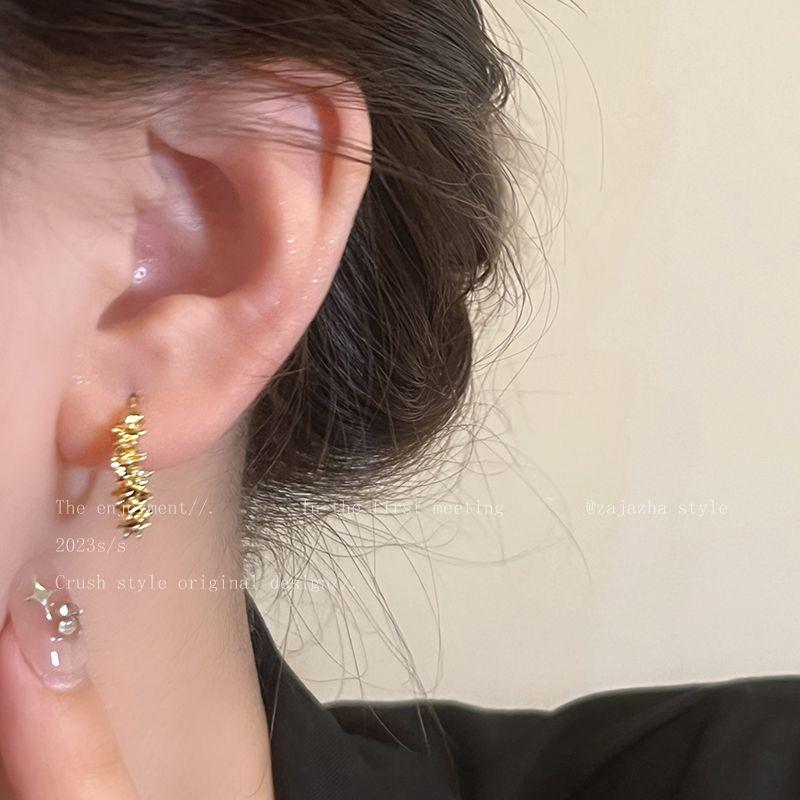 Niche Style Small Pieces of Silver Women's Fancy Best Selling Elegant Stud Earrings