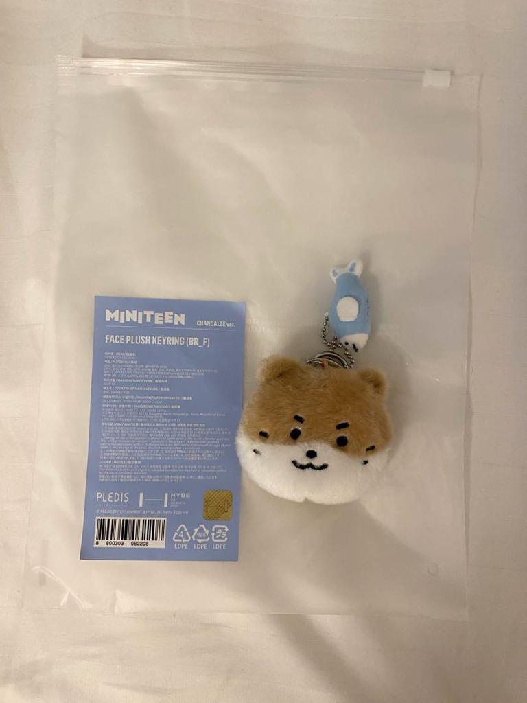 [USED] SEVENTEEN Dino MINITEEN Pop-up Key Ring