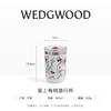 Joyful Plum Blossom Travel Mug